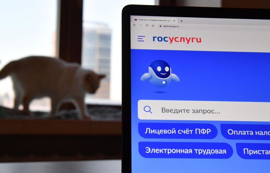 «Почему вы не рожаете?»: «Госуслуги» начали массовый опрос россиянок о детях и требуют объяснений «Почему вы не рожаете?»: «Госуслуги» начали массовый опрос россиянок о детях и требуют объяснений