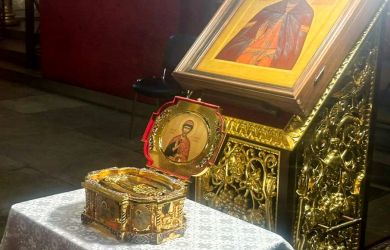 Сенсация в Кремле: в Архангельском соборе обнаружены мощи Дмитрия Донского — реставраторы вскрыли саркофаг