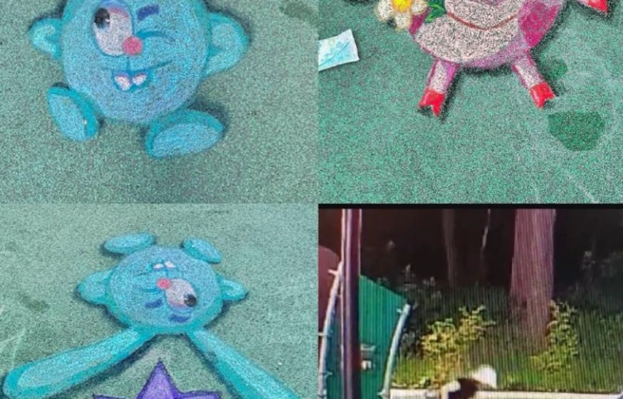 Дожили: в Тульской области ребенку пригрозили уголовным делом из-за «Смешариков» на площадке! 