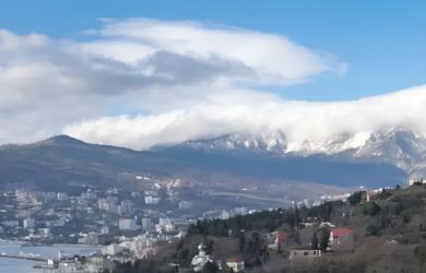 Разумная стратегия? В Крыму назвали бредом слова Стубба об атаках на российский маркетплейс
