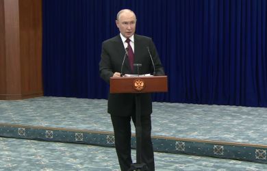 «Может схлопотать по зубам»... А вот и пояснительная бригада: Путин рассказал, кто здесь косатка, а кто медведь