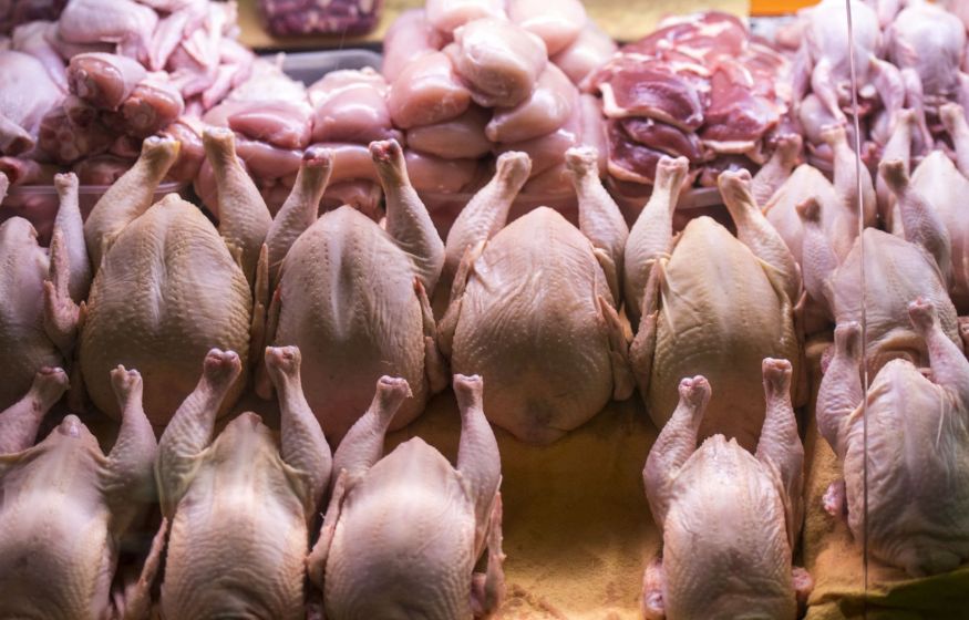 Курица пошла в разнос: в России цена на птицу выросла почти на 16%
