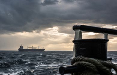 Перемирия на Чёрном море не будет: министр аграрной политики Украины пожаловался на Россию
