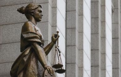 Сначала погибли сотни животных, теперь нашли подделку: у «Мультикана-8» оказался липовый паспорт