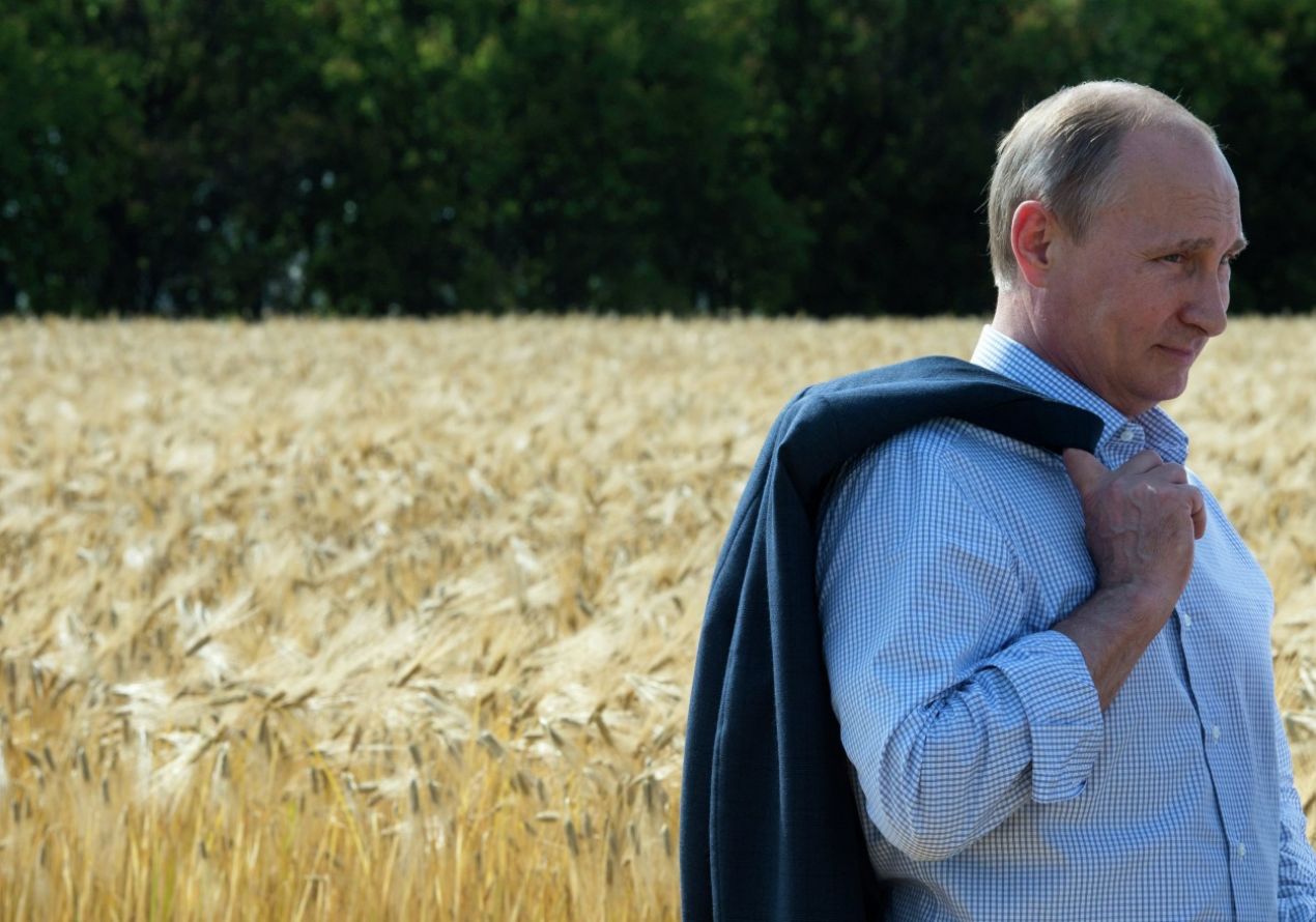 Росстат: Сельское хозяйство России обрушилось на 10% в августе