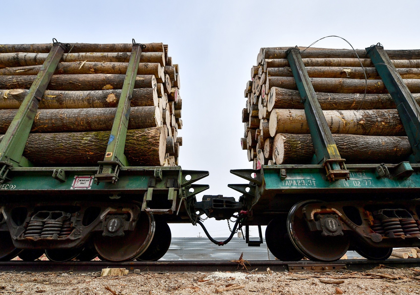 Вывоз леса из России в Китай упал на треть в декабре