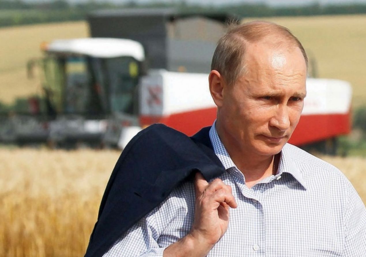Рост цен повторится снова: Россия собрала худший урожай за три года