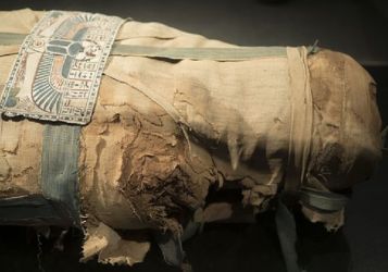 Ученые обнаружили, что сохранило плод единственной в мире беременной египетской мумии