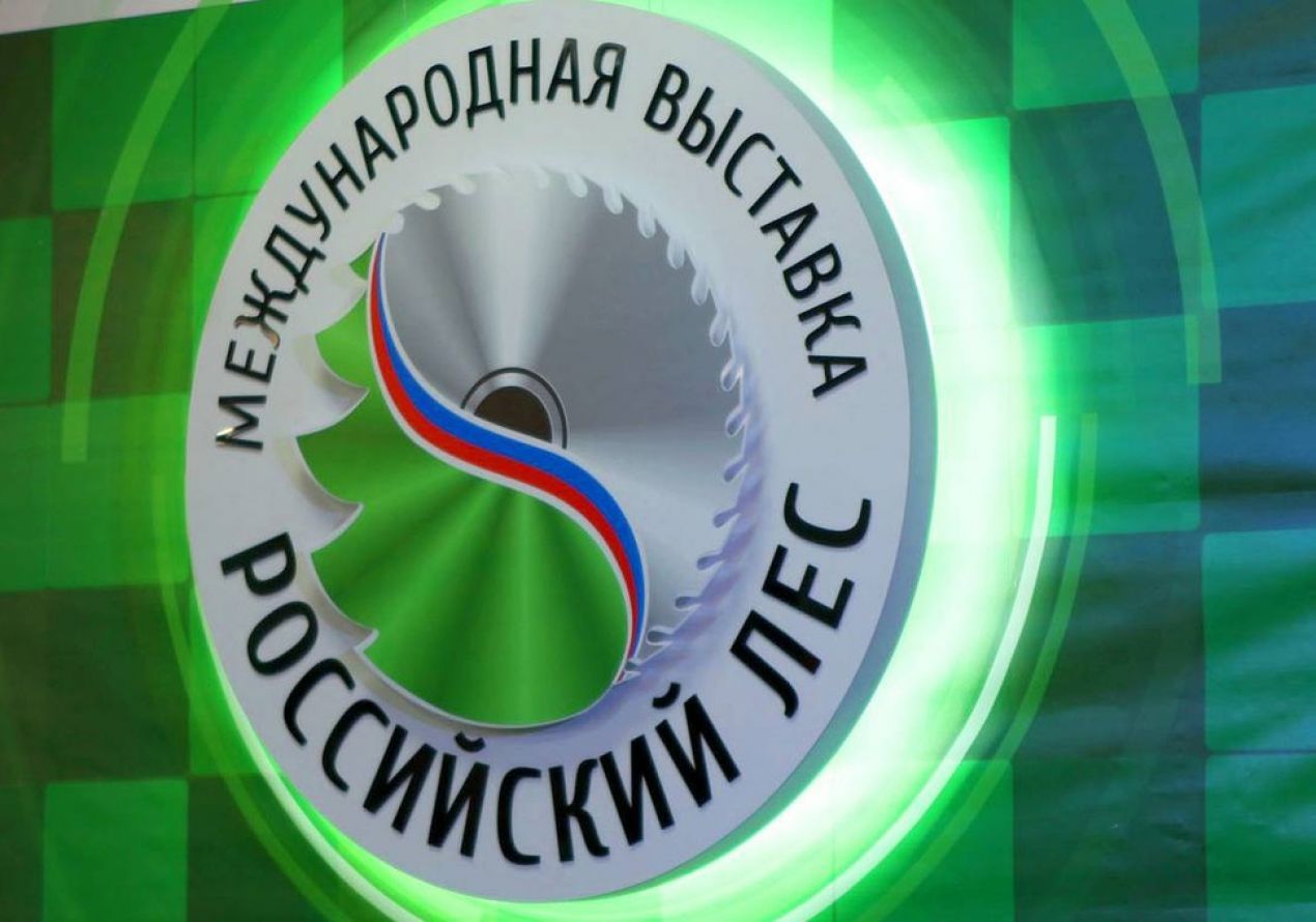 Интервью президента Вологодской торгово-промышленной палаты о XXIX Международном лесном форуме и выставке «Российский лес»