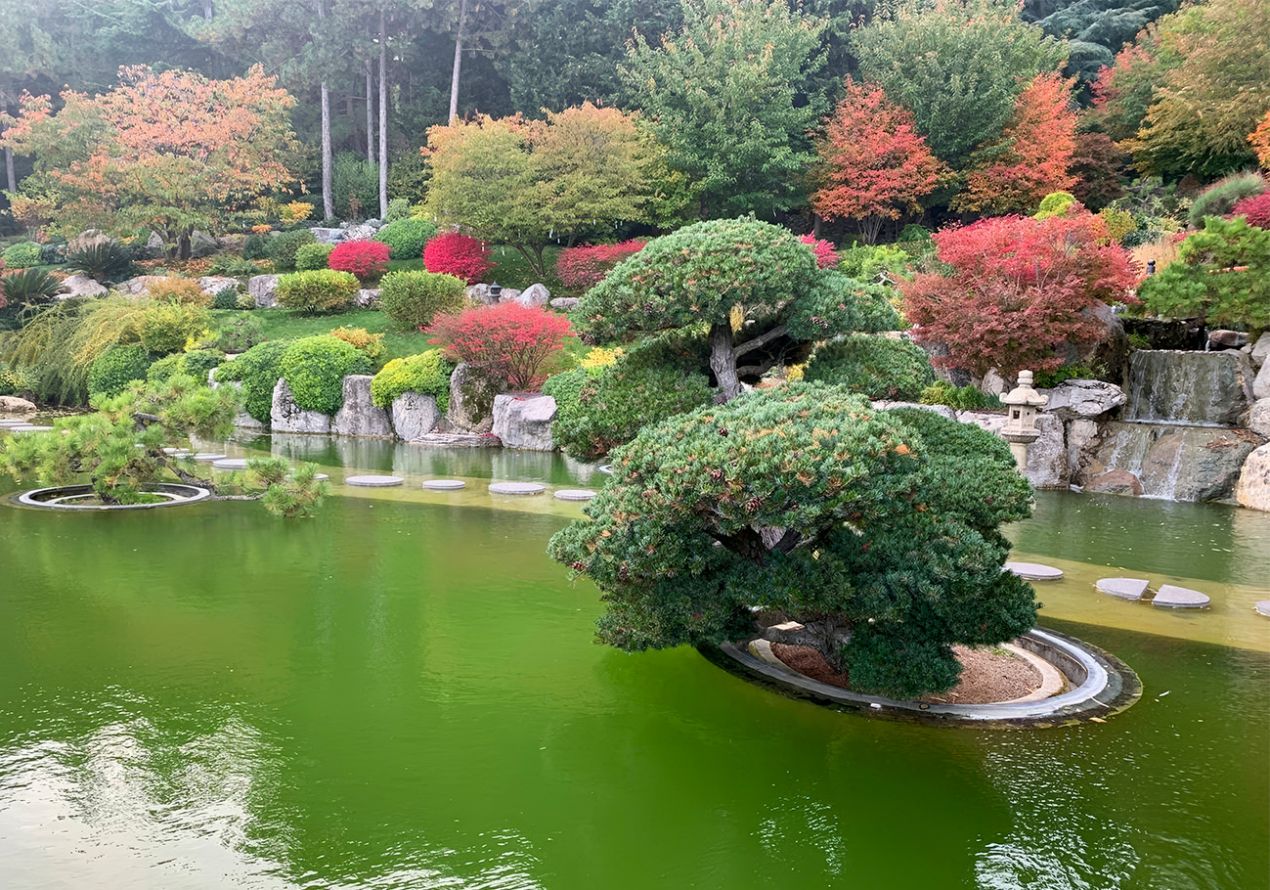 Крым осенью