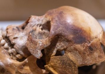 Татуировки у нубийских младенцев: мультиспектральная съёмка раскрыла скрытые традиции древней Нубии