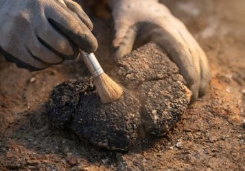 5000-летний хлеб из Анатолии: грубая эммерская мука, чечевица и ритуальное захоронение