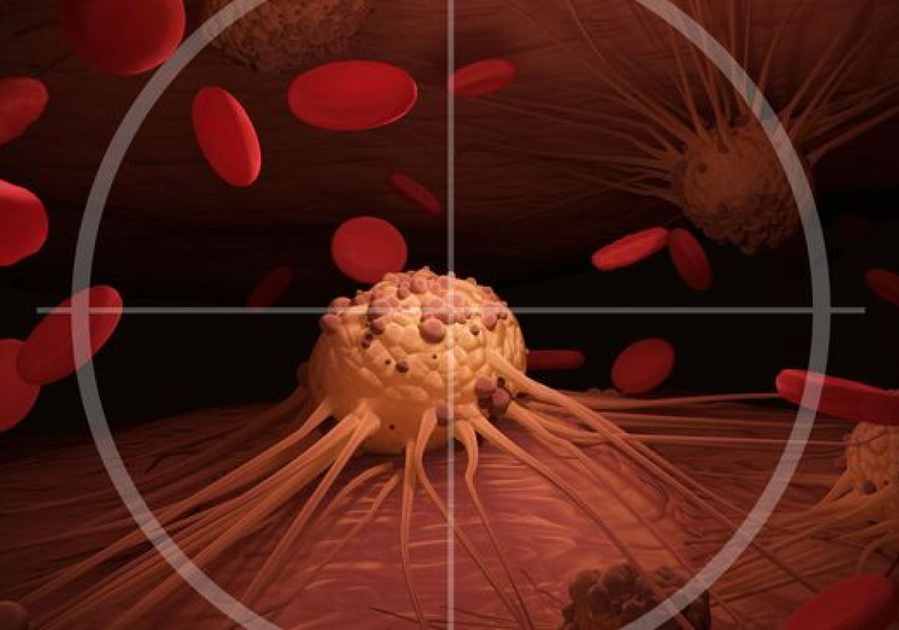 Один «мастер-переключатель» управляет ростом меланомы и её защитой от иммунитета