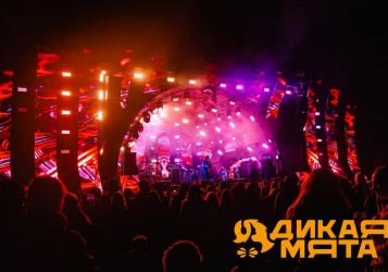 Дикая Мята 2026: главный независимый open-air лета стартует 19 июня