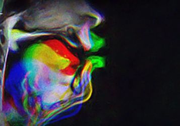 Как мозг на самом деле учится говорить