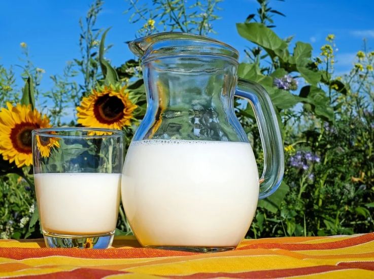 Аграрии добились роста производства молока и овощей на фоне общего падения сельского хозяйства