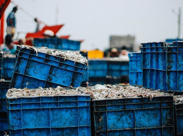 Впервые в современной истории, Россия построит научно-исследовательские рыбопромысловые суда