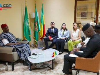 В министерстве культуры и туризма Мали поддержали проекты Центра народной дипломатии