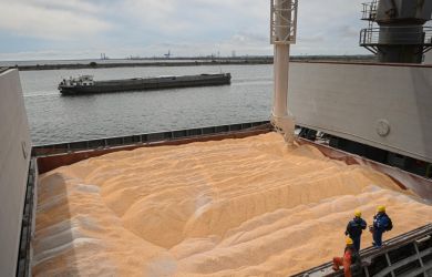 Спор властей России с ведущим экспортером блокирует 400 тыс. тонн зерна