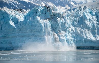 Ученые бьют тревогу: Шельфовые ледники Антарктики могут обрушиться