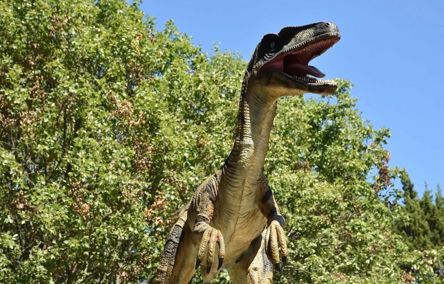 Гигантский мегараптор! В Китае обнаружен динозавр небывалого размера