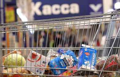 Минфин вводит пошлину за маркировку базовых продуктов — кто заплатит за хлеб и молоко?