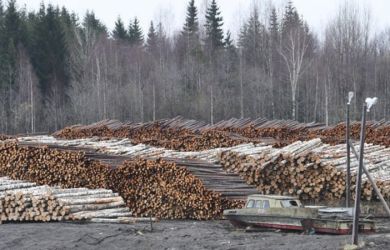 «Байкал могут уничтожить: Нельзя торговать Родиной под прикрытием благих намерений!»: в Госдуме бьют в набат