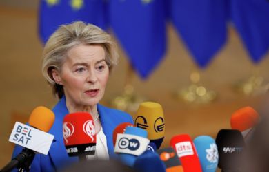 «Это не мирный план, а тупость». Фон дер Ляйен в нокауте! Депутат ЕС: «Только давайте без вас. Пожалуйста, уйдите уже!»