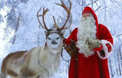 Рождественский триллер. Финны взбесились: волки из России не законно пересекли границу и сожрали 1950 оленей Санты