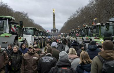 Компенсация за корову — 173 рубля? Фермеры взбунтовались