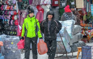 «Рынок Садовод на грани: налоговая ловушка может уничтожить малый бизнес»: эксперт