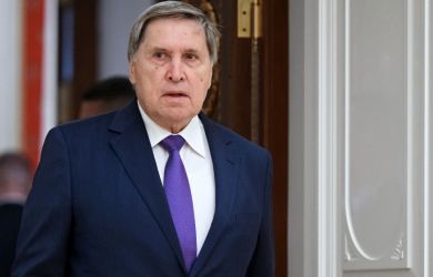 «Мозг никогда не работает, поэтому включать его даже не приходится»: Неожиданное признание помощника Путина