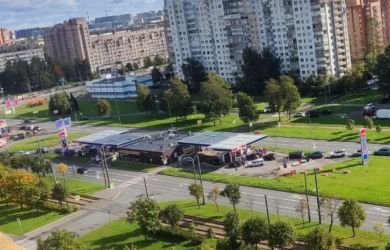 «Главное — не допускать паники»! В Ленобласти введут лимит на бензин — за раз можно будет купить только 30 литров