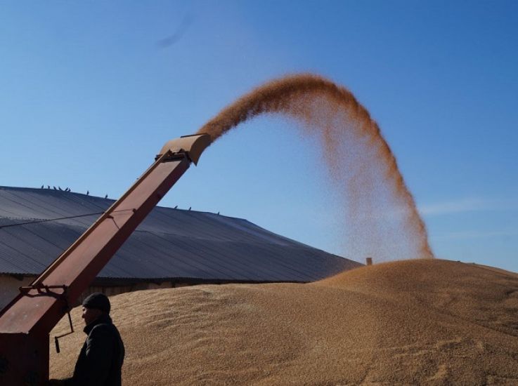 Отечественная зерносушилка поможет хакасским фермерам сохранять урожай